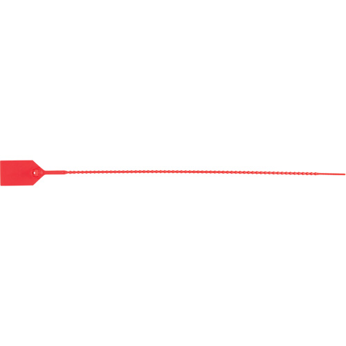 Scell&eacute; de s&eacute;curit&eacute; standard, 15", Plastique, Scell&eacute; en plastique Action Paper