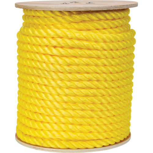 Corde jaune tress&eacute;e, Polypropyl&egrave;ne, 300' Action Paper