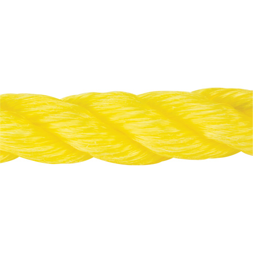 Corde jaune tress&eacute;e, Polypropyl&egrave;ne, 300' Action Paper
