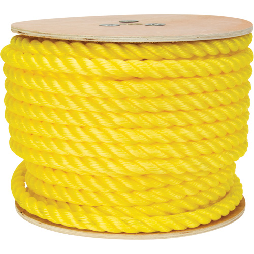 Braided Yellow Rope, Polypropylene, 144' Action Paper
