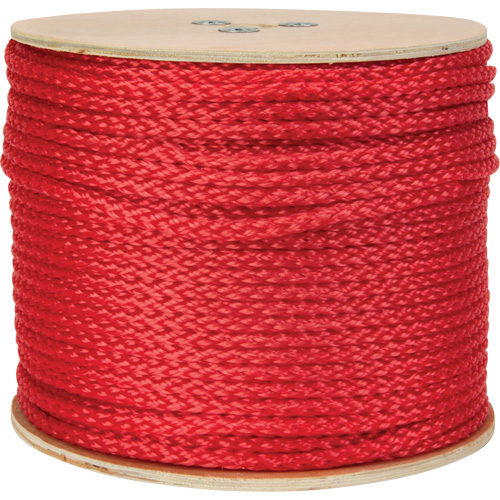 Corde rouge tress&eacute;e, Polypropyl&egrave;ne, 500' Action Paper