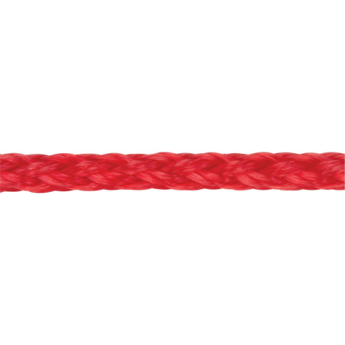 Corde rouge tress&eacute;e, Polypropyl&egrave;ne, 500' Action Paper