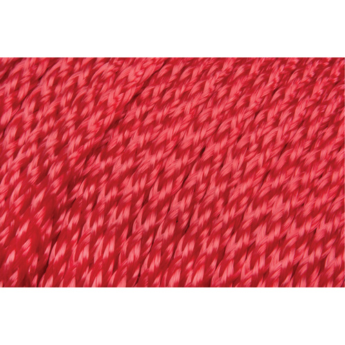 Corde rouge tress&eacute;e, Polypropyl&egrave;ne, 500' Action Paper