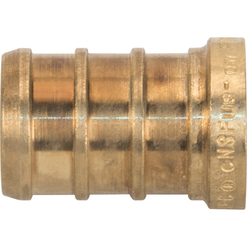 Lead-Free Pipe Plug, Pipe, 1/2" Dia., Brass Action Paper