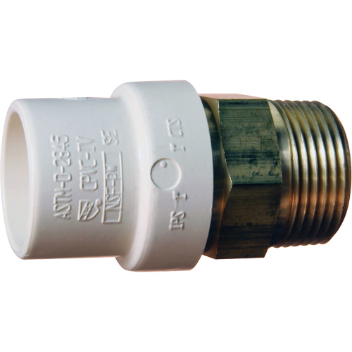 Adaptateur de tuyau filet&eacute;, Noeud x MPT, 1" dia., Laiton/PVC-C Action Paper