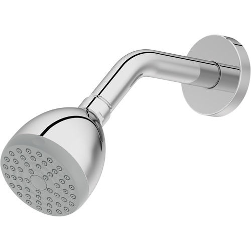 One-Function Showerhead Action Paper