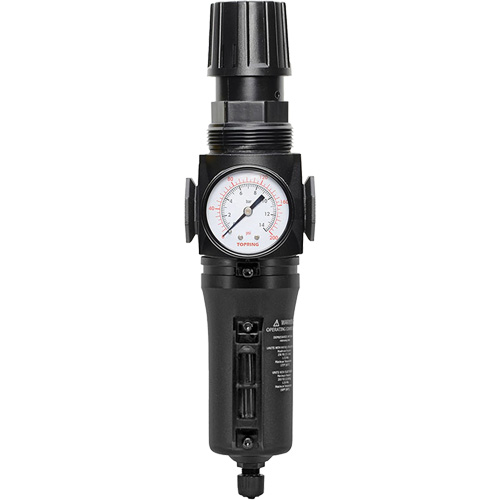 Filtre/r&eacute;gulateur drain manuel avec bol en m&eacute;tal Modulair 300, 1/4" NPT, 250 PSI, Capacit&eacute; de 5,1 oz liq. Action Paper