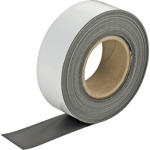 Write-On Magnetic Tags, Magnetic, 600" L x 2" W Action Paper