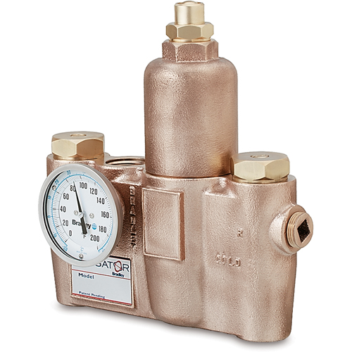 Thermostatic Mixing Valves, 19.5 GPM Action Paper