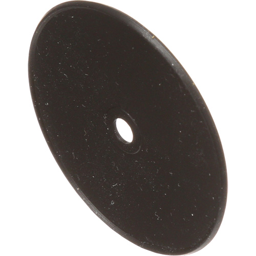 Replacement Inhalation Valves Action Paper