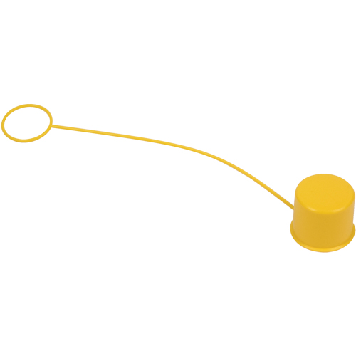 Tethered Eyewash Dust Cap Action Paper