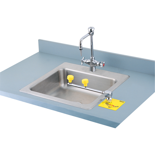 Swing-Away Eyewash Station, Counter-Mount Installation Action Paper