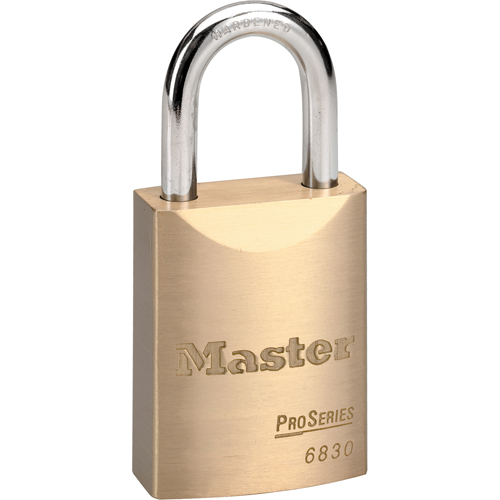 Cadenas ProSeries, Argent, Cl&eacute;s diff&eacute;rentes, Rev&ecirc;tement en laiton, Largeur de 1-9/16" Action Paper