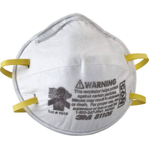 8110S Particulate Respirators, N95, NIOSH Certified, Small Action Paper