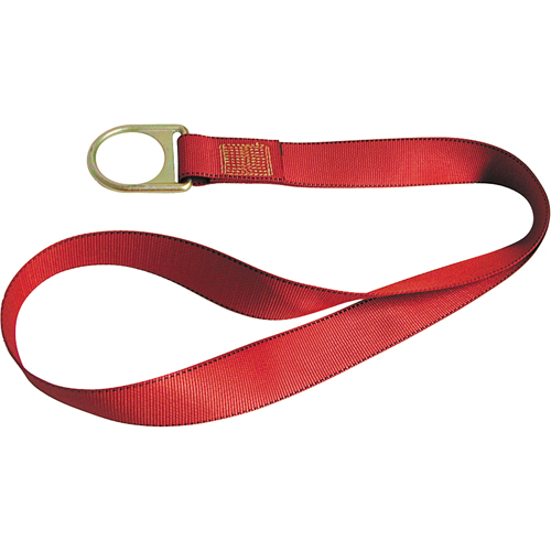 PointGuard Anchorage Connector Straps, D-Ring, Temporary Use Action Paper
