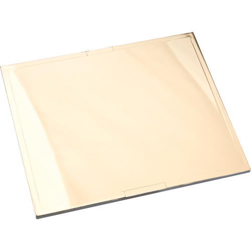 Omni-View&reg; Gold Filter Plates Action Paper