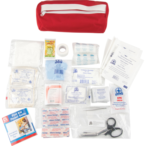 First Aid Kit, Class 1 Medical Device, Nylon Bag Action Paper