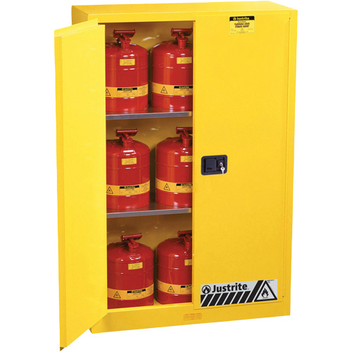 Armoires Sure-Grip EX pour produits inflammables, 45 gal., 2 Porte(s), 43" La x 65" h x 18" p Action Paper