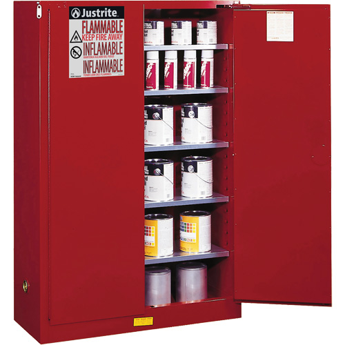 Armoire de s&eacute;curit&eacute; pour la peinture et les encres combustibles EX Sure-Grip, 60 gal., 5 tablettes Action Paper