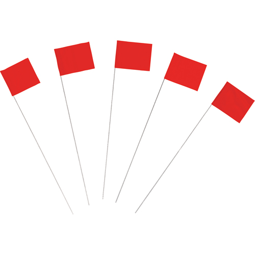 Marking Flags Action Paper