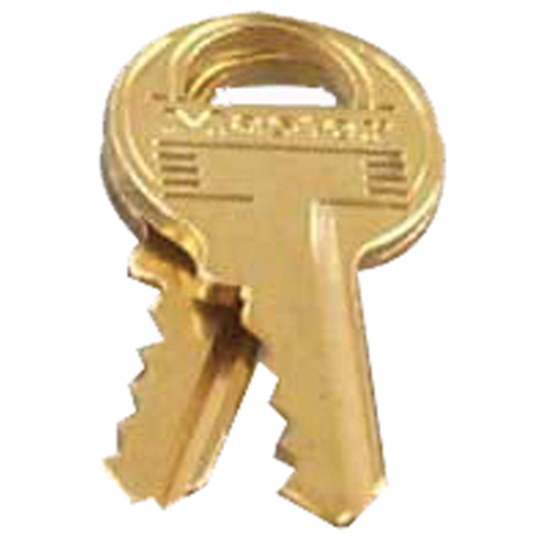 Control Key for Combination Padlocks Action Paper