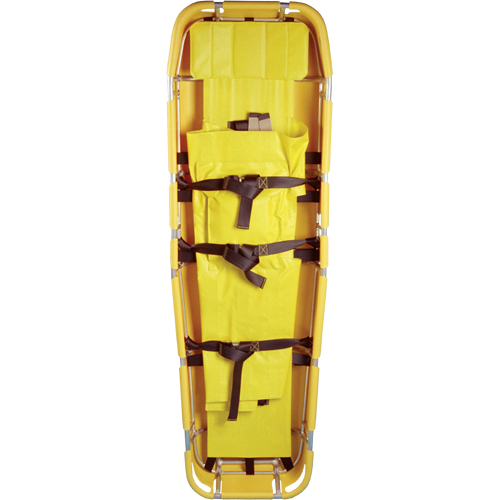 Basket Litter Restraint Systems Action Paper