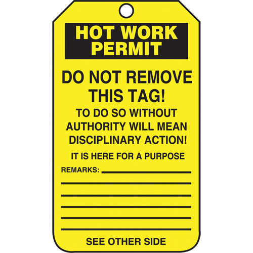 Inspection Tags, Cardstock, 3-1/8" W x 5-7/8" H, English Action Paper