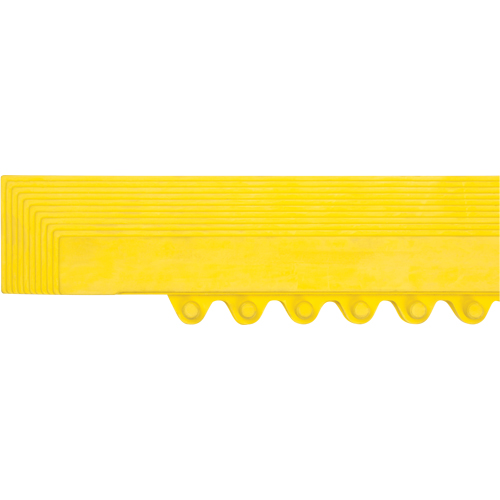 Border Ramp for Matting Action Paper