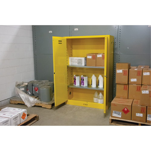 Armoire pour produits inflammables, 45 gal., 2 Porte(s), 43" La x 65" h x 18" p Action Paper