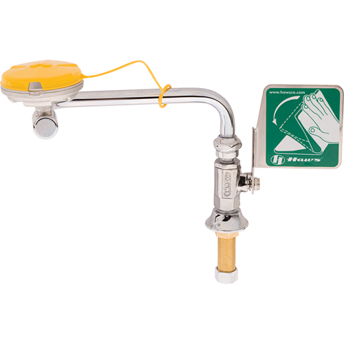 Axion&reg; Eye/Face Wash Station, Sink Mount Installation Action Paper
