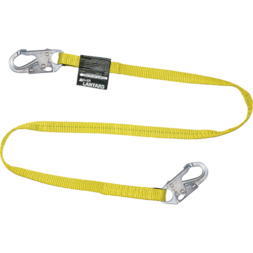 Longe en toile &agrave; sangle Miller, 1 branches, 6', Classe CSA B, Polyester Action Paper