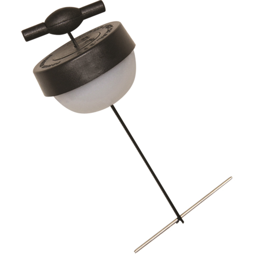 Small Seal Action Paper