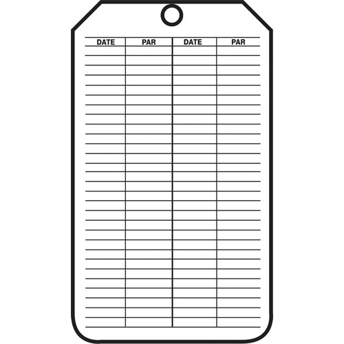 Inspection Tags, Cardstock, 3-1/8" W x 5-7/8" H, French Action Paper