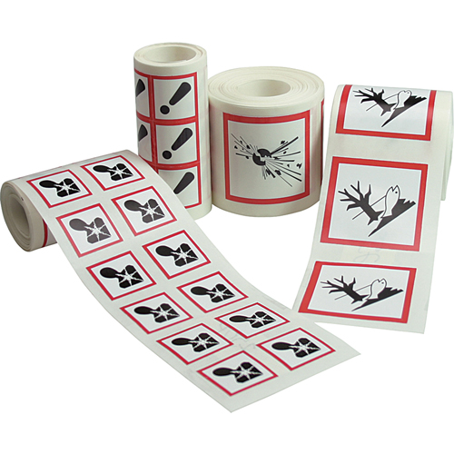 GHS Pictogram Labels, Paper, Roll, 4" L x 4" W Action Paper