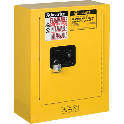 Mini-armoires de s&eacute;curit&eacute; Sure-Grip EX pour produits inflammables, 2 gal., 1 Porte(s), 17" La x 22" h x 8" p Action Paper