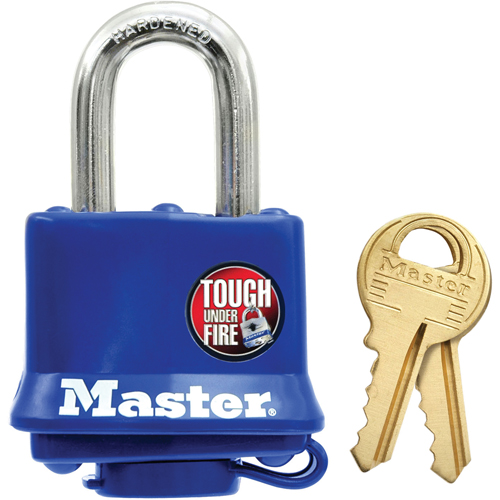 Cadenas r&eacute;sistant aux intemp&eacute;ries, Bleu, Cl&eacute;s diff&eacute;rentes, Acier lamin&eacute;, Largeur de 1-9/16" Action Paper