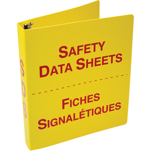 SDS Binders Action Paper