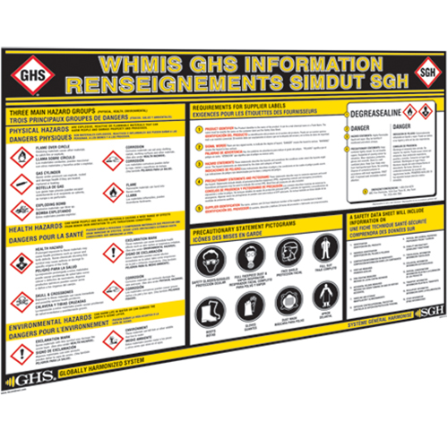 GHS Information Wall Charts Action Paper