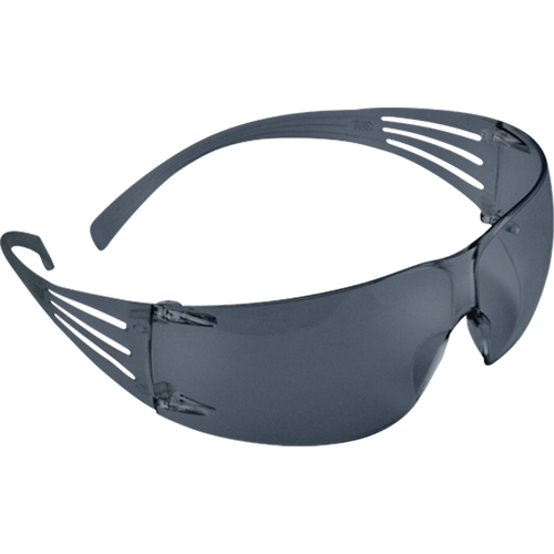 Securefit 200 Series Safety Glasses, Grey/Smoke Lens, Anti-Fog, ANSI Z87+/Meets/Exceeds CSA Z94.3 Action Paper