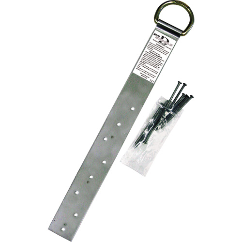 Miller&reg; Single Roof Anchor, D-Ring, Permanent Use Action Paper