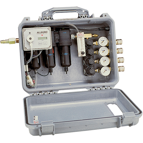 4 Worker Multi Regulator Action Paper