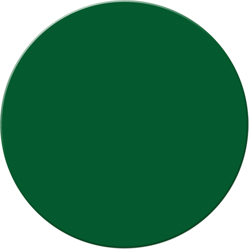 Marqueurs all&eacute;g&eacute;e/5S Armor Stripe, Cercle, 6" lo x 6" la, Vert, Plastique Action Paper