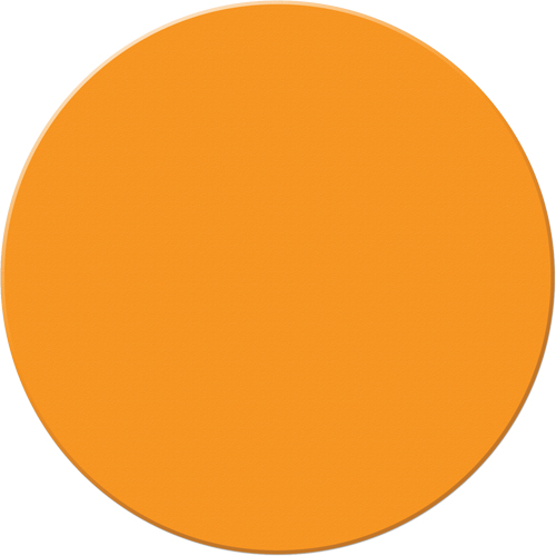 Marqueurs all&eacute;g&eacute;e/5S Armor Stripe, Cercle, 6" lo x 6" la, Orange, Plastique Action Paper