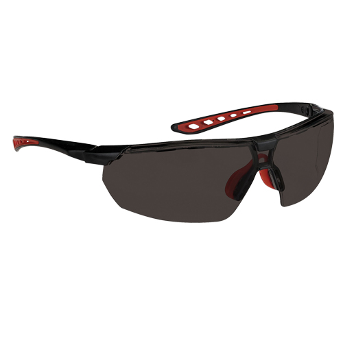 Dynamic Falcon Series Safety Glasses, Smoke Lens, Anti-Fog, ANSI Z87+/Meets/Exceeds CSA Z94.3 Action Paper