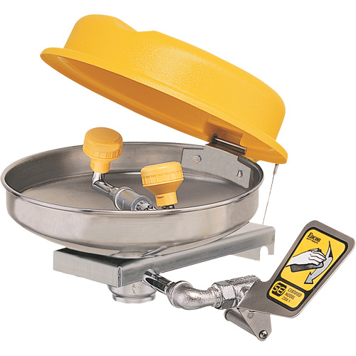 Poste de douche oculaire, Installation Montage mural, Bol Acier inoxydable Action Paper