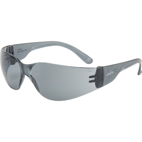 Z600 Series Safety Glasses, Grey/Smoke Lens, Anti-Scratch, ANSI Z87+/Meets/Exceeds CSA Z94.3 Action Paper