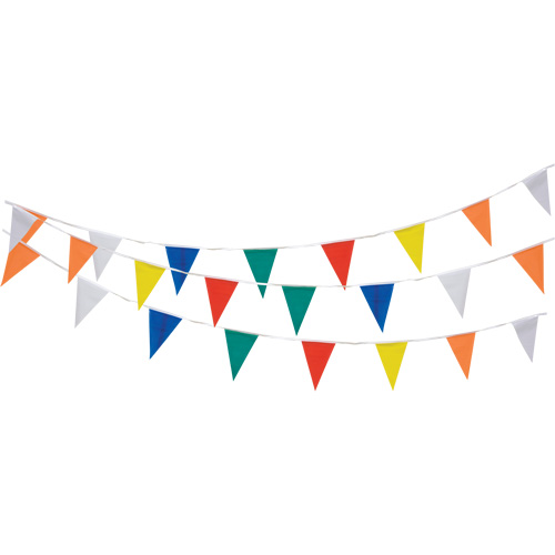 Pennant String, 60' L, Multicolour Action Paper