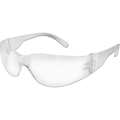 NOVA E-Series Safety Glasses, Clear Lens, Meets/Exceeds CSA Z94.3 Action Paper