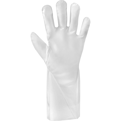 Gants r&eacute;sistants aux produits chimiques ALPHATEC 02-100, Taille 10, 15,0" lo, PEHP, 2,4 mils Action Paper