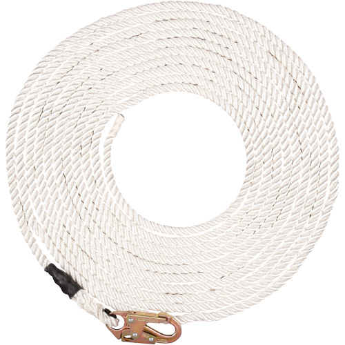 Synthetic Rope Lifeline Action Paper